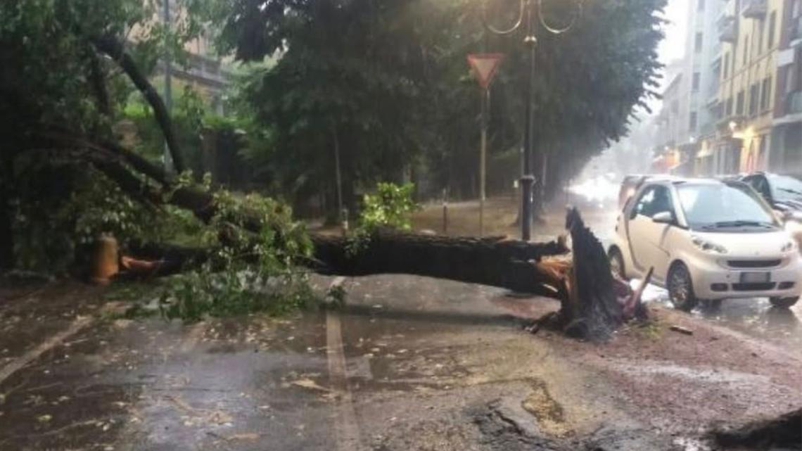 Violento nubifragio, danni in Piemonte: raffiche di vento a 90 Km/h. Ecco la situazione
