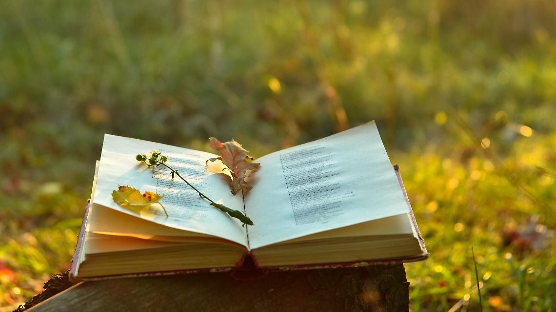 La poesia unisce