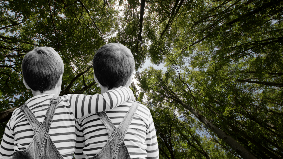 Vivono nel bosco senza identità: la storia sconvolgente di due bambini "fantasmi" per lo Stato