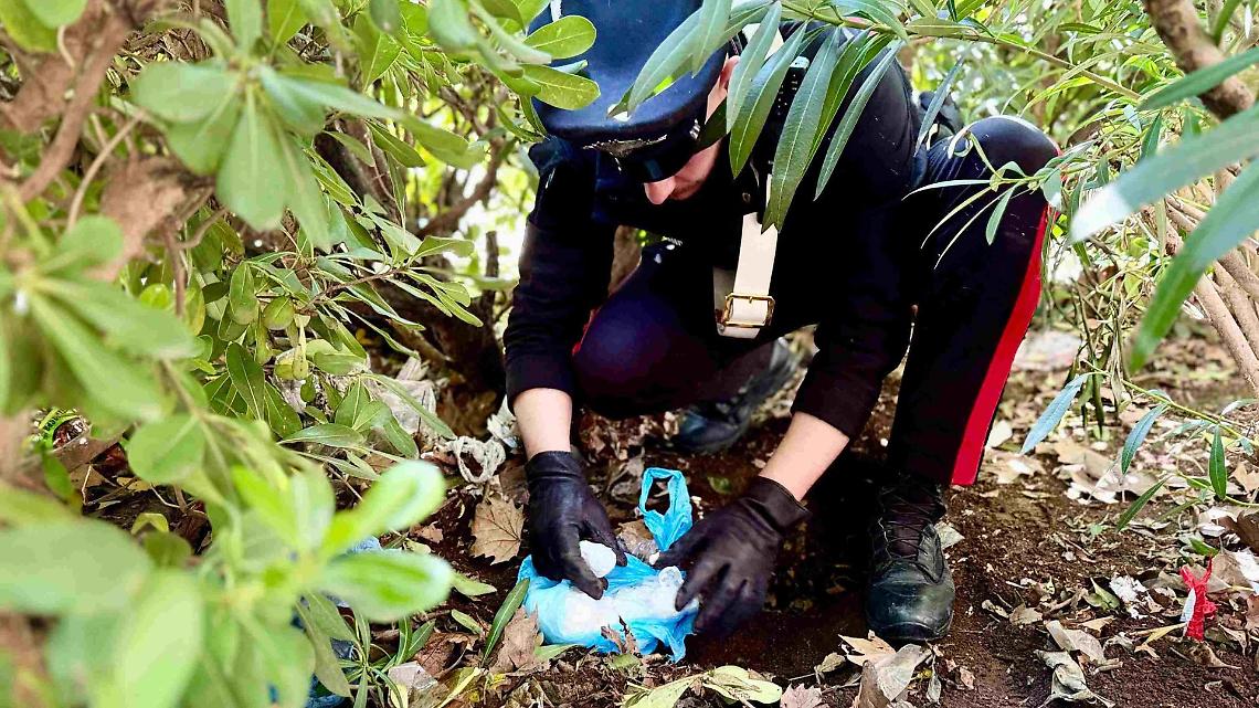 Operazione antidroga nei boschi di Oropa: smantellato un bivacco dello spaccio