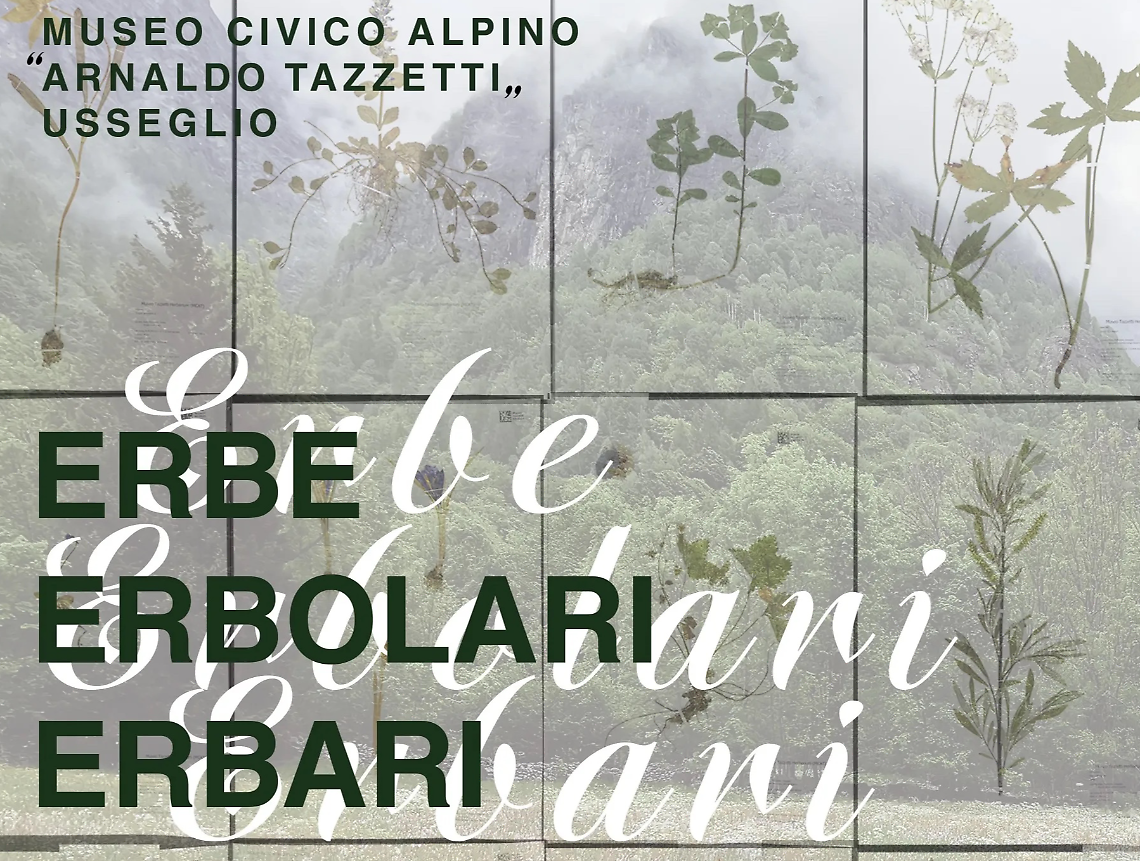 "Erbe Erbolari Erbari":  a Usseglio la botanica diventa racconto tra storia e natura