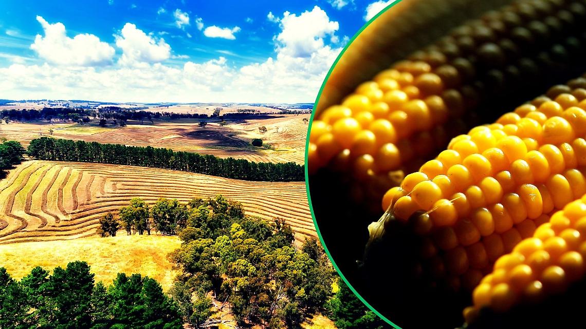 Il Piemonte agroalimentare