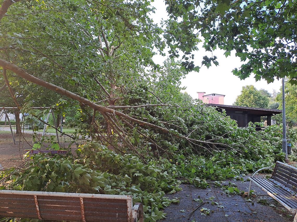 Tromba d'aria su Settimo Torinese: il Parco Lama devastato, urgono misure di prevenzione e sicurezza