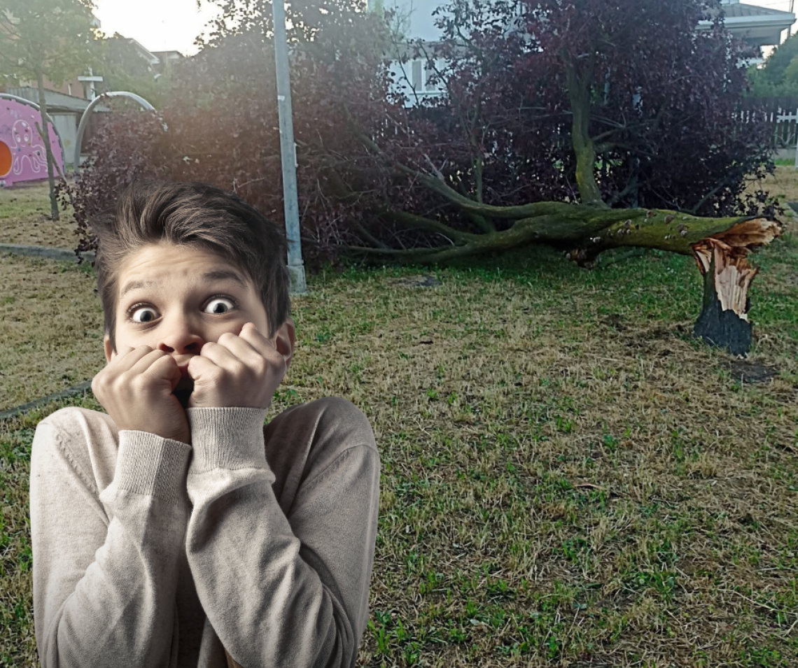 Alberi caduti e pericolo per i bambini: il giardino di Via Frassati diventa un caso (purtroppo non isolato)