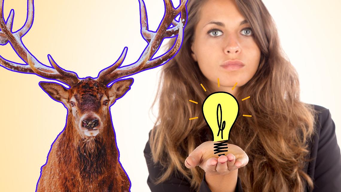 Lanzo, l’idea geniale 