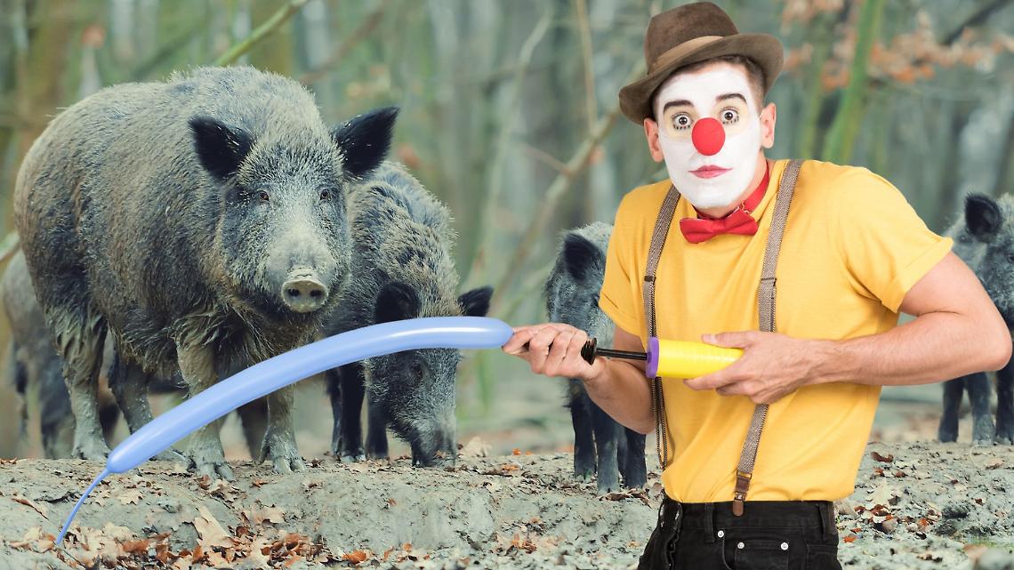 Danni da fauna selvatica