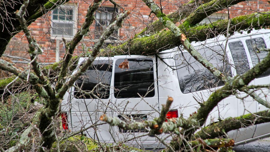  Temporali, grandine e vento in arrivo: sabato di allerta gialla in 7 regioni del Centro-Nord, Protezione Civile mobilitata 