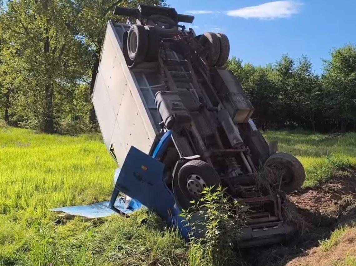 Il camion per il trasporto bestiame si è ribaltato