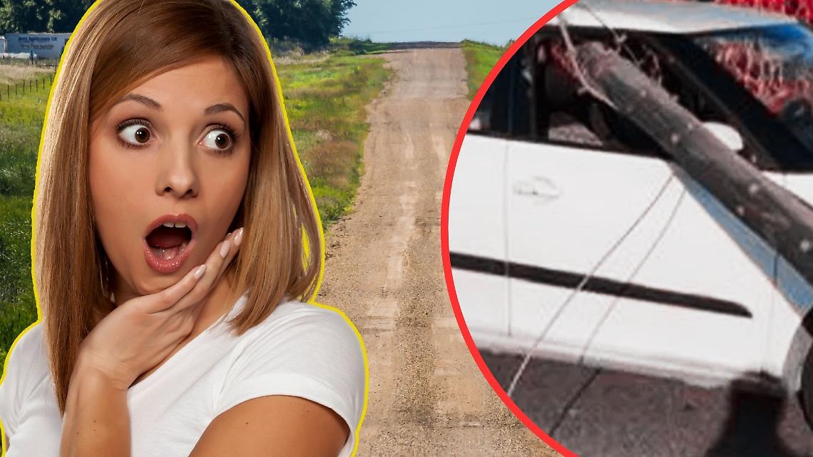 Palo cade su un'auto