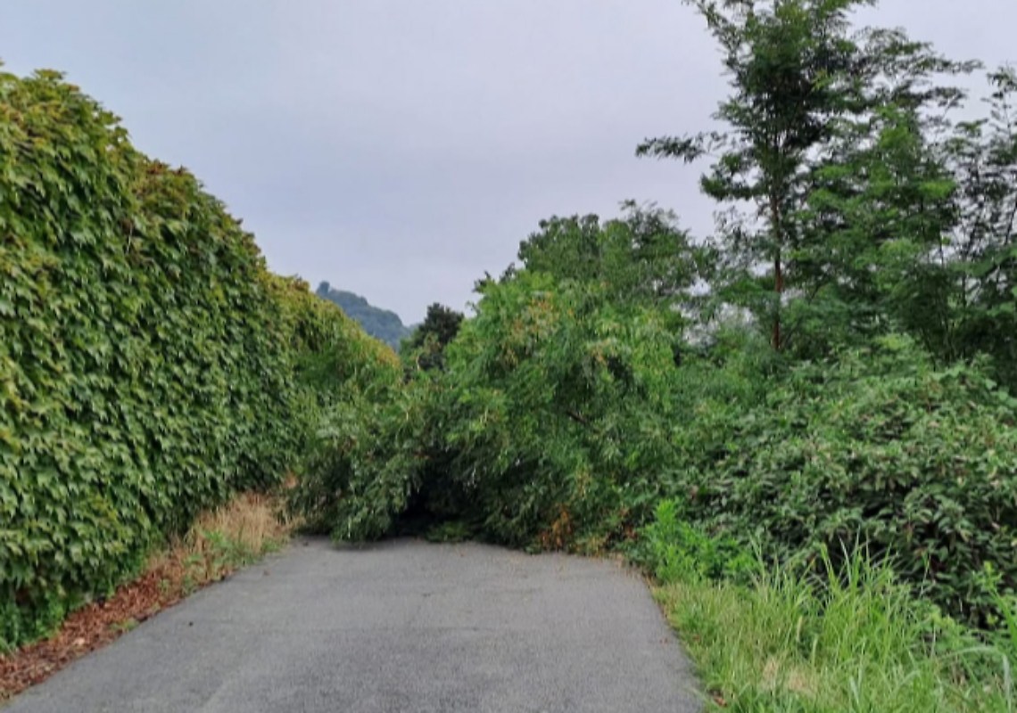 Maltempo in collina