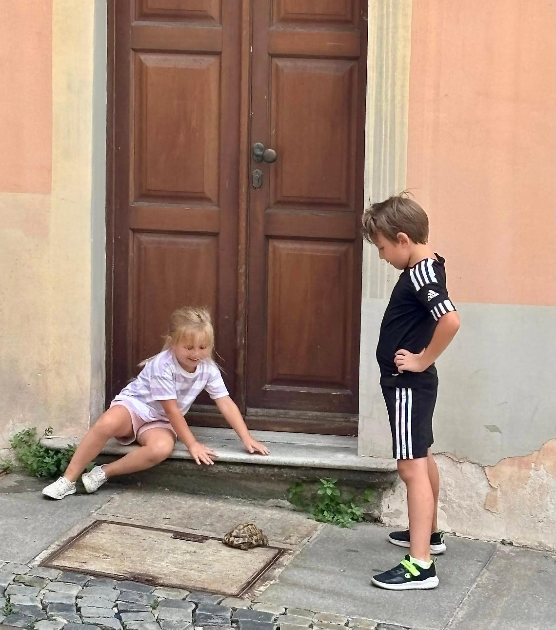 Turisti salvano una tartaruga abbandonata a Moncalieri: un gesto che fa la differenza