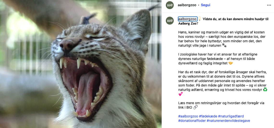 Proposta shock dello zoo: "Dateci i vostri animali domestici vivi, sfameranno i nostri predatori"