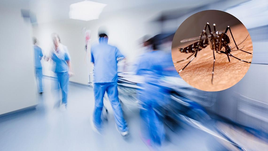 West Nile, due nuovi casi a Trento e nel Biellese