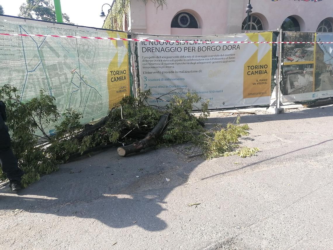 Balon, un ramo crolla su una bancarella: paura tra i visitatori, scatta l’interpellanza