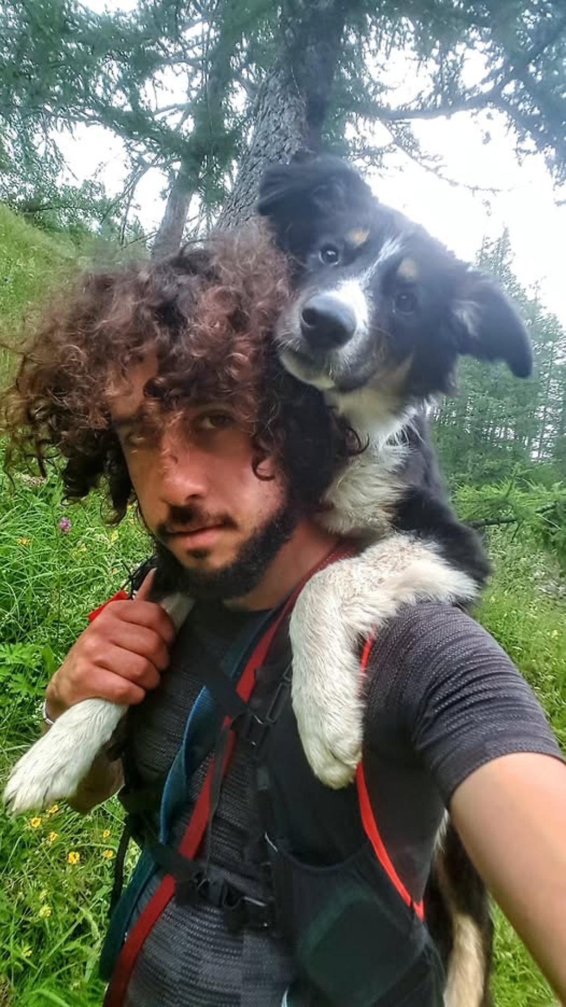 Addio a Switch, il cane alpinista: ritrovato senza vita sul ghiacciaio di Nel