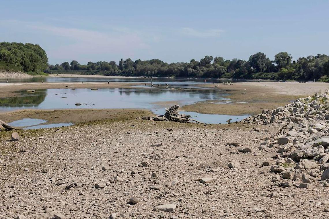 La Regione vuole i fiumi morti: acqua alle lobby, secca per tutti