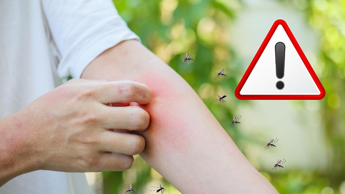 Iss, in Italia i casi West Nile aumentati da 173 a 275