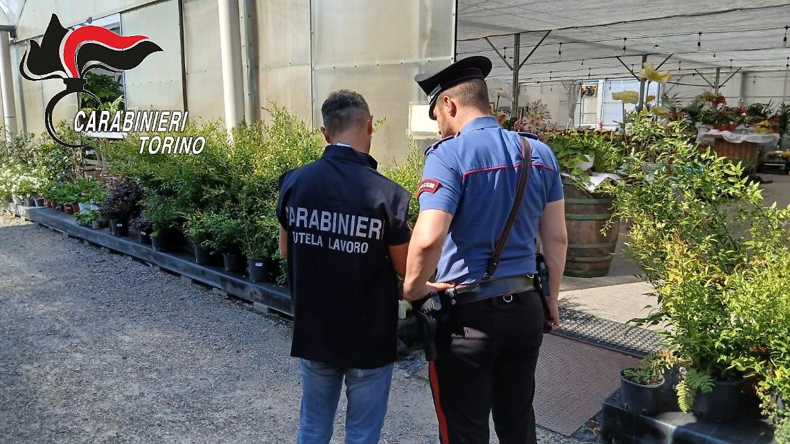 Caporalato nelle campagne torinesi: ancora lavoro nero e sfruttamento?