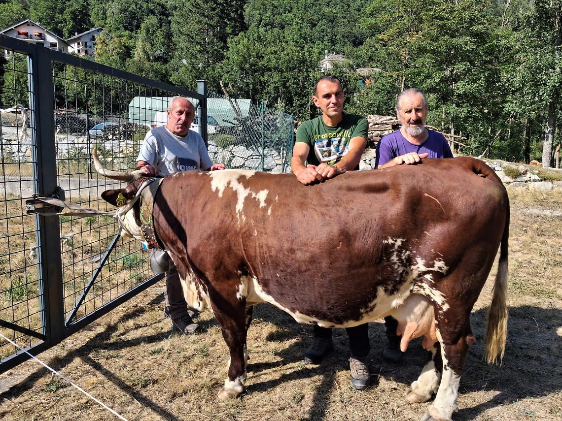 Festa Agricoltura di Montagna