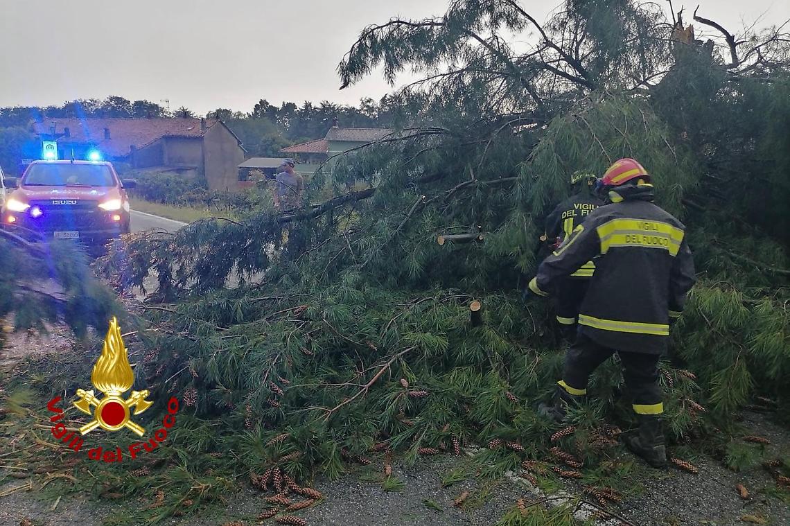Paura a Moncrivello, il temporale abbatte alberi e scoperchia i tetti