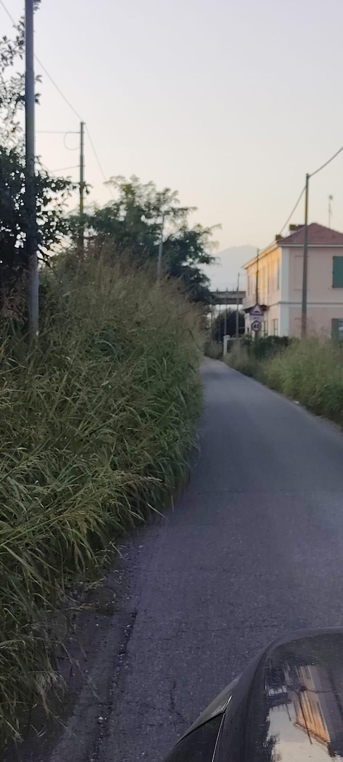 A Ivrea  serve un post su Facebook per tagliare l’erba