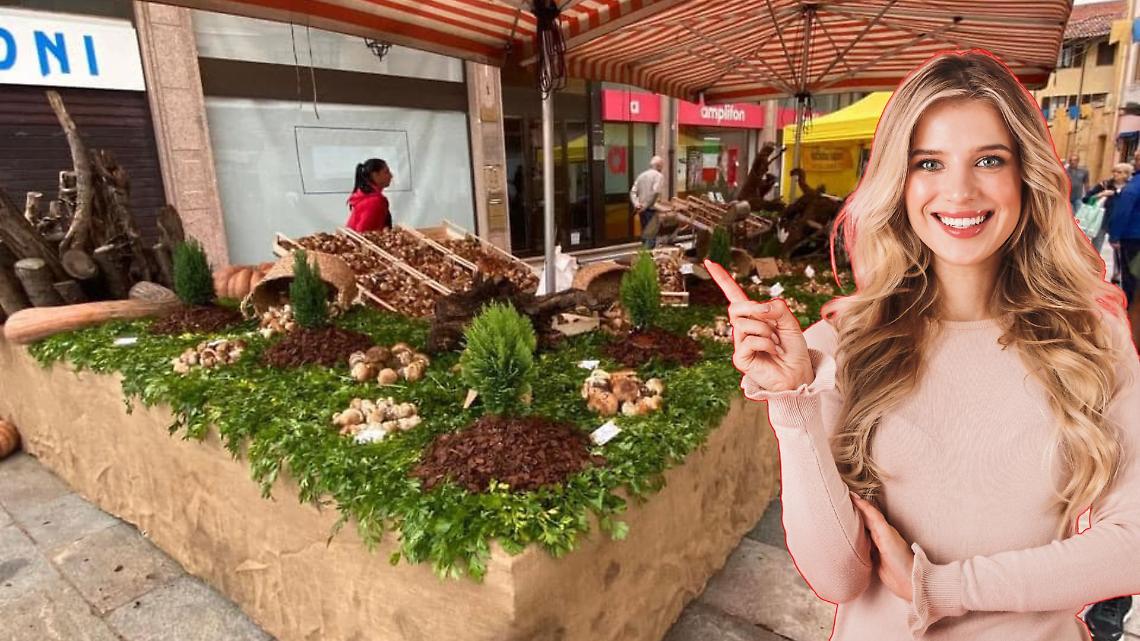 Ciriè celebra la Madonna di Loreto: quattro giorni tra fede, cultura, enogastronomia e spettacoli