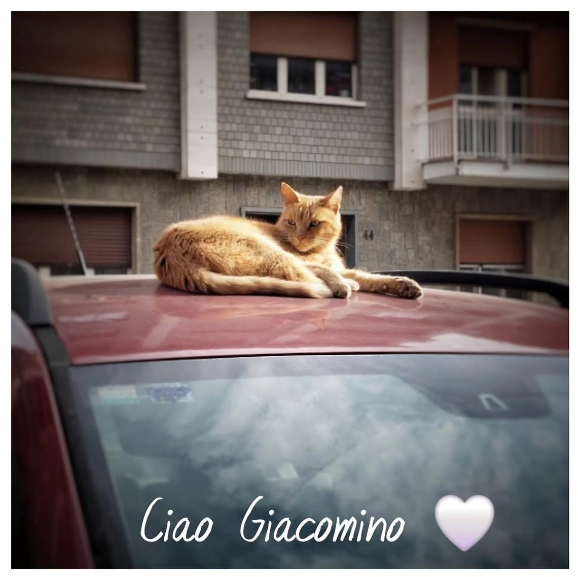 Addio a Giacomino, il Re di Via Lamarmora