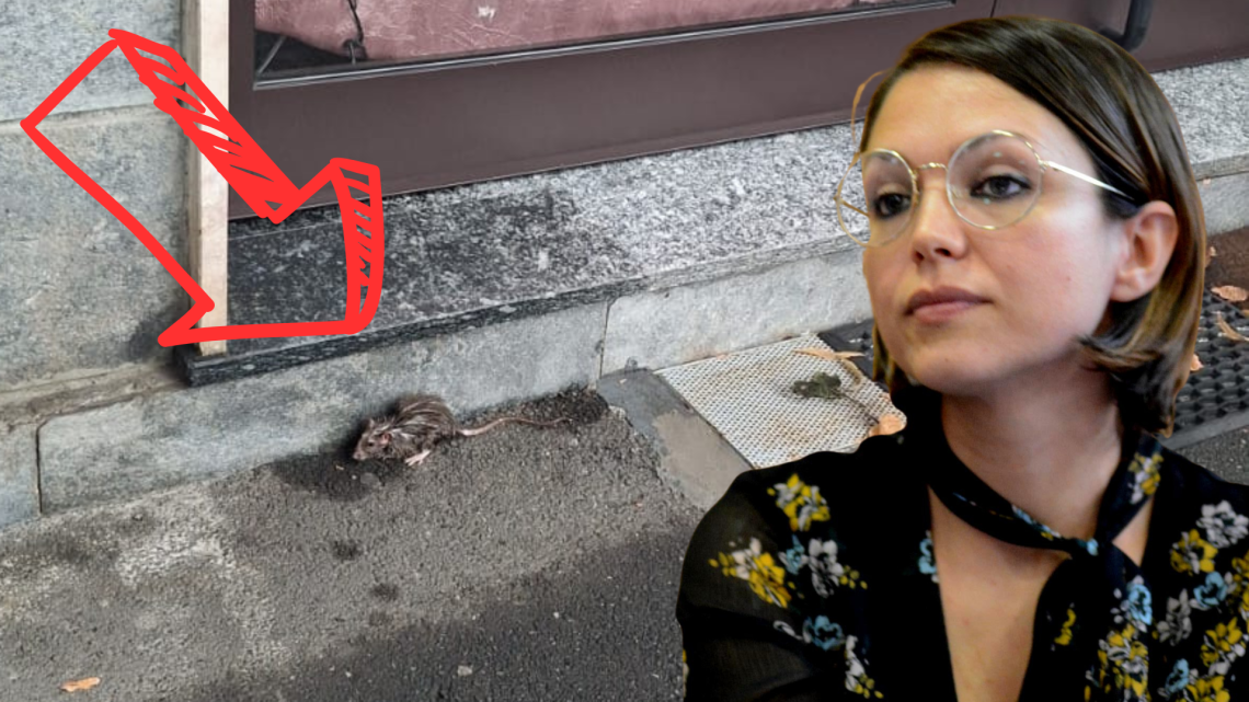 A Settimo anche i topi vogliono il "caffè"