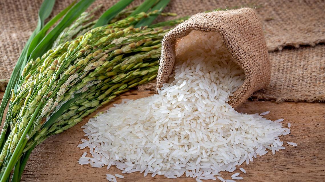 Rice Kids 