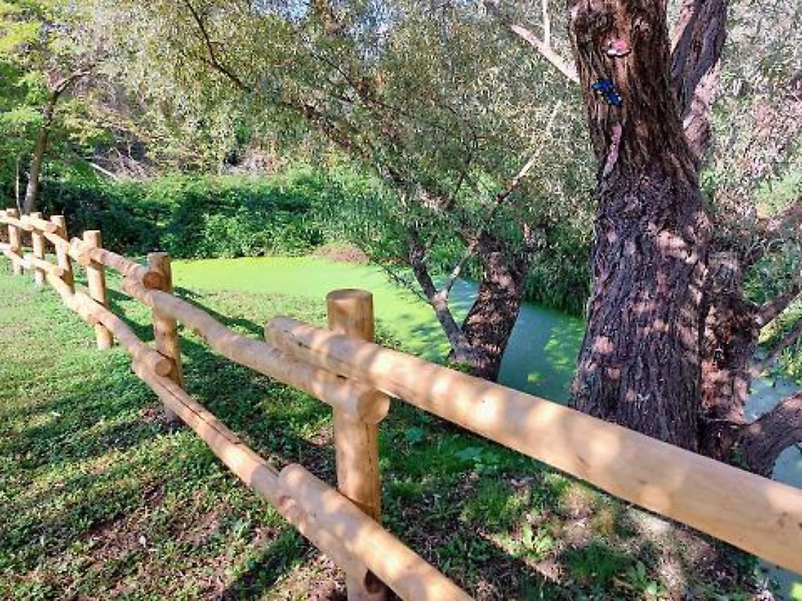 Parco Lago di Città: un futuro condiviso. Venerdì l’incontro con associazioni e istituzioni