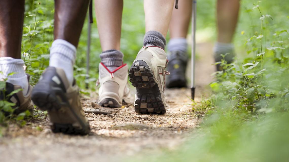 Quo Vauda? Escursione gratuita e aperta a tutti il 27 settembre