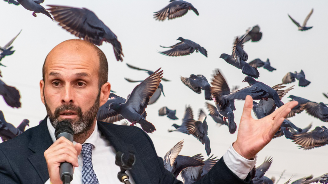 Guano di piccione, il Comune si sveglia: dopo mesi di proteste arriva l’ordinanza