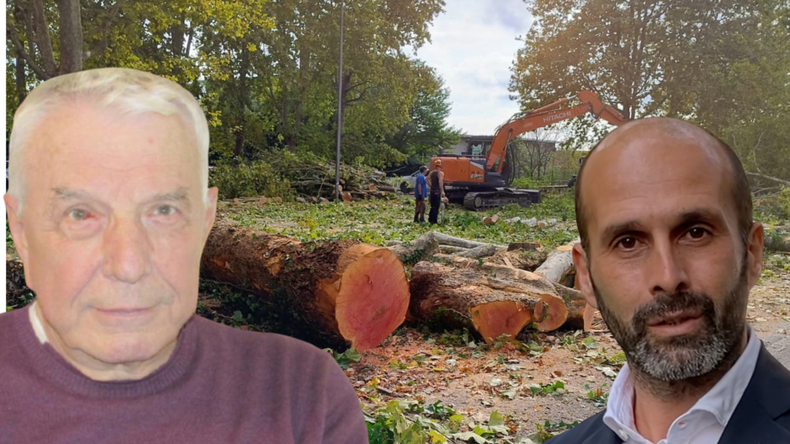 Chiantore contro le motoseghe… ma arriva quando gli alberi non ci sono già più