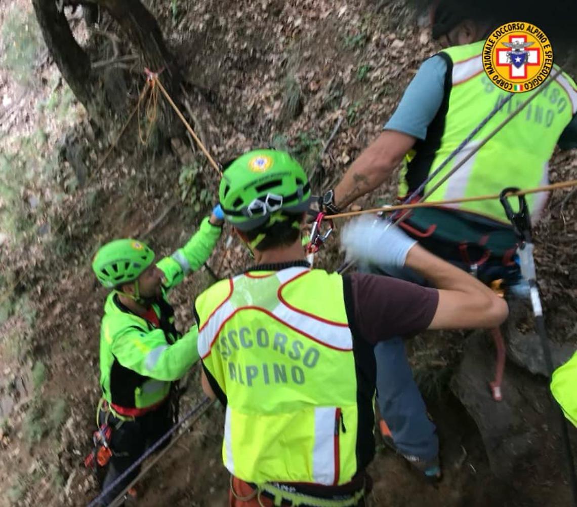Tragedia nei boschi del Canavese: cercatrice di funghi muore ad Andrate