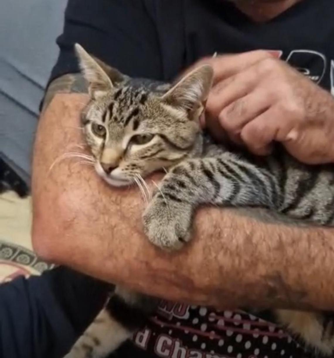 Gettato via da una macchina, salvato da una moto: la seconda vita di Bob