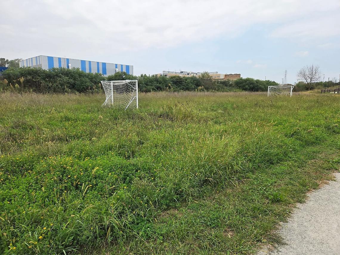 Villaggio Fiat, il campo da calcio sommerso dalle erbacce. A Settimo si balla, ma non si gioca