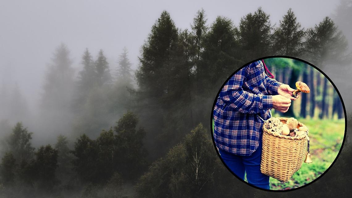Scomparso nei boschi sopra Trontano: caccia all’uomo tra nebbia e speranza all’alpe Briasca