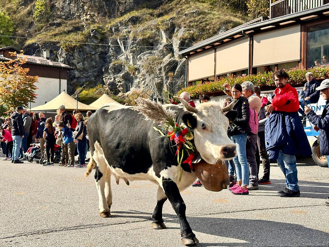 Usseglio saluta l’estate con la Festa della Transumanza e degli Orti di Montagna