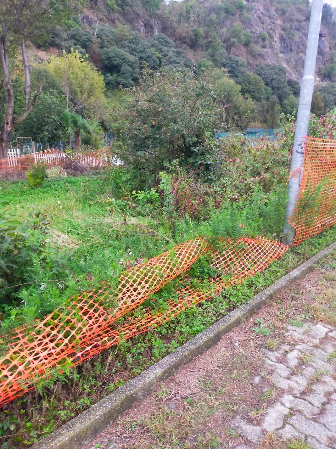 Orti urbani 2.0: topi, bisce, capre, pecore e galline al posto di zucchine e insalate