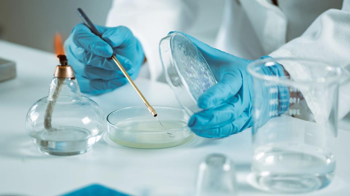 Rad51 svela chi non risponderà alla chemioterapia: la svolta che arriva dall’IRCCS di Candiolo