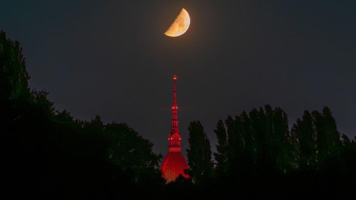 Luna e Mole 