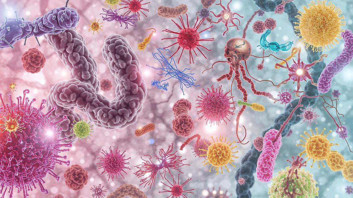 Castiglione, il Festival dell'Innovazione e della Scienza apre le porte al mondo segreto dei batteri