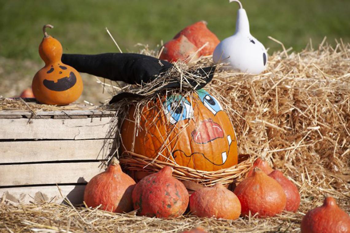 A Chiaves la quinta edizione della manifestazione dedicata all'autunno