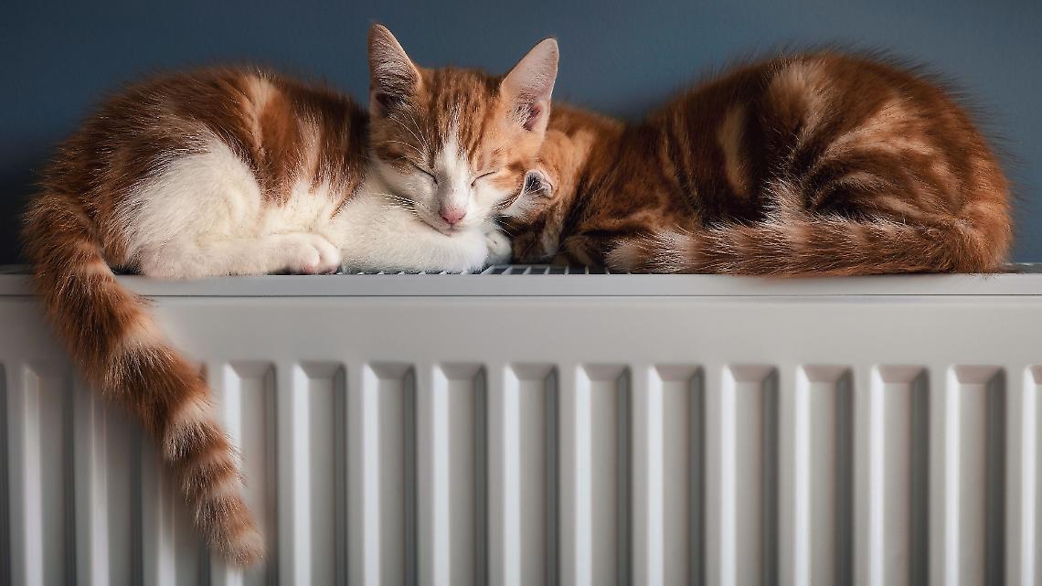 Termosifoni