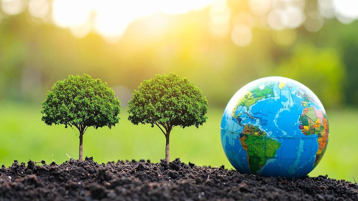 “Equilibri Naturali” a San Mauro Torinese: laboratori per bambini alla scoperta dell’ecosistema