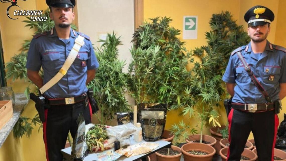 Odore di marijuana nell’aria