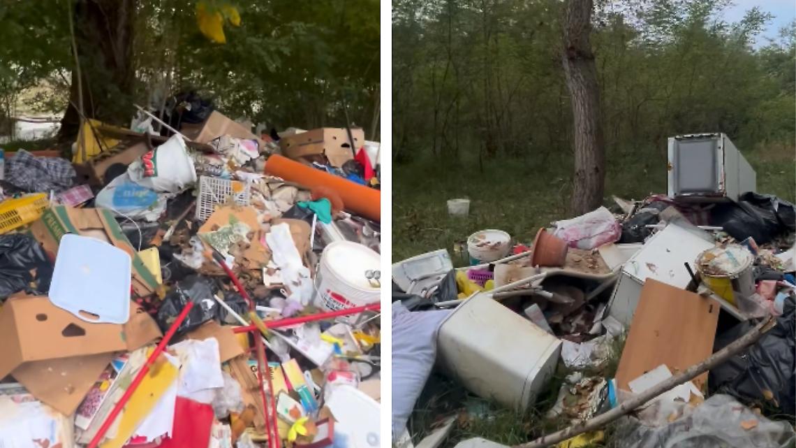 L'Orco trasformato in discarica: “Una casa intera buttata nel bosco”. La denuncia di un runner diventa virale (VIDEO)