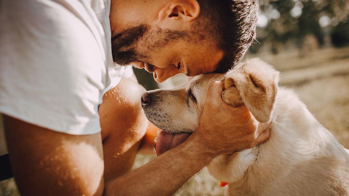 Cosa prova davvero un cane