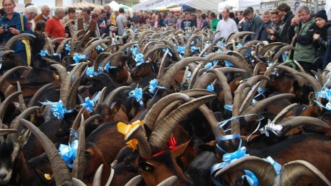 Torna la Festa rurale