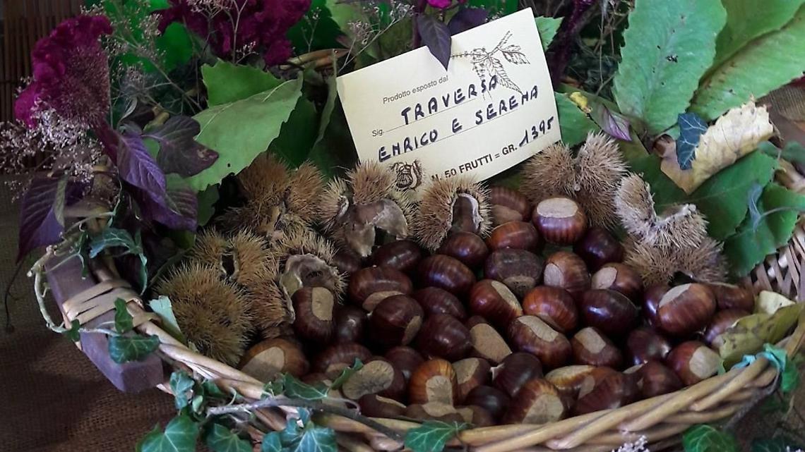 La regina d'autunno 